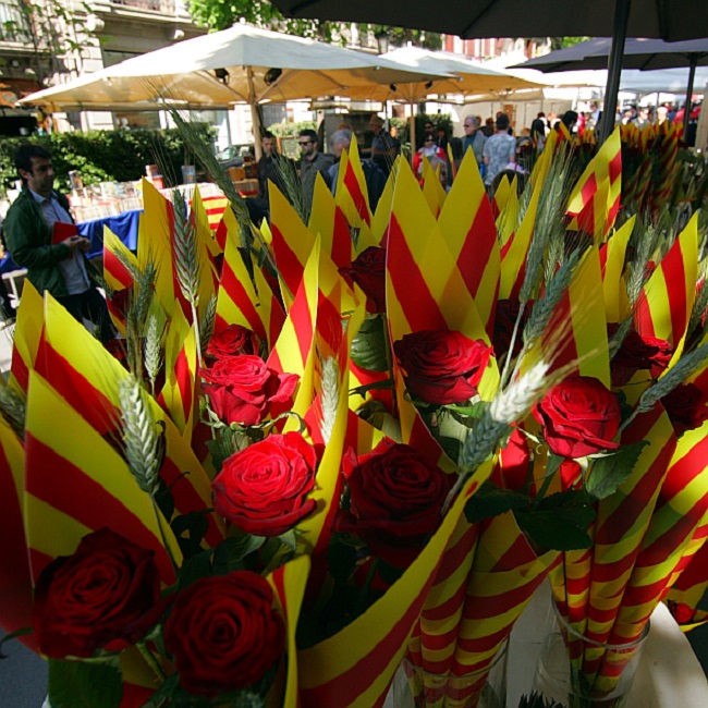 piros rózsák becsomagolva sárga piros csíkos papírba, sant jordi napján
