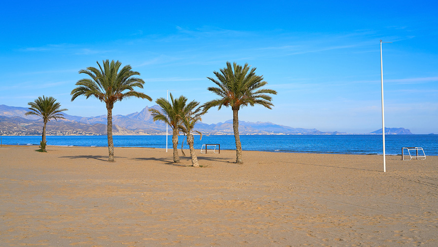 Alicante tengerpart - Playa de San Juan aranyszínű homokos tengerpartja csak pálmafákkal